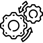 Dynamic Features